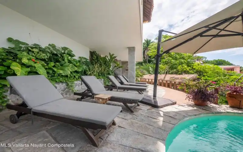 garden space shared (1)