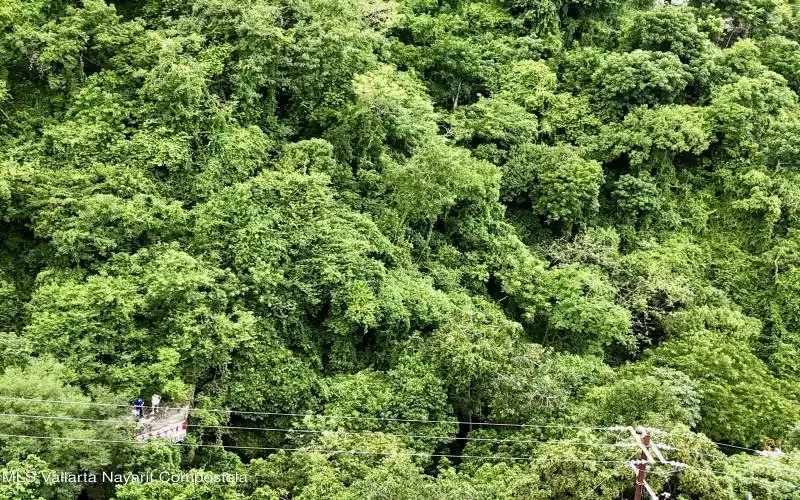 DJI_20250825120327_0054_D