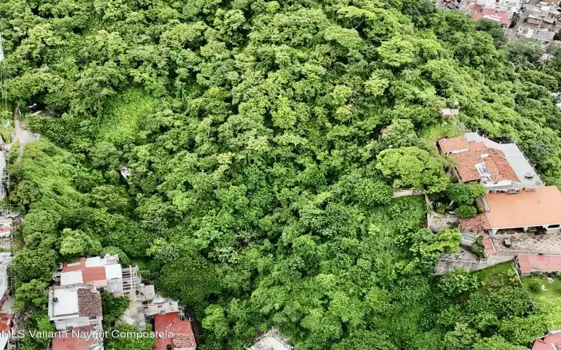 DJI_20250825120416_0058_D