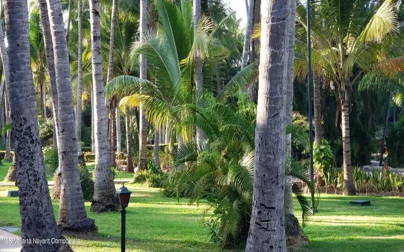 Jardines interiores