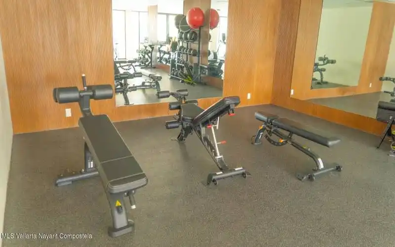 Gym