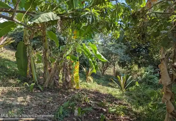 Lote_libertad_for_sale_Sayulita_1