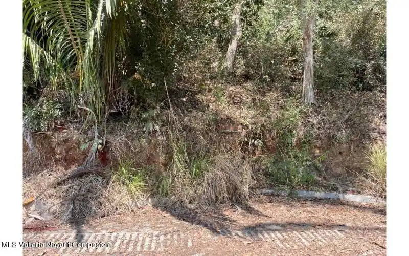 Lote_libertad_for_sale_Sayulita_7