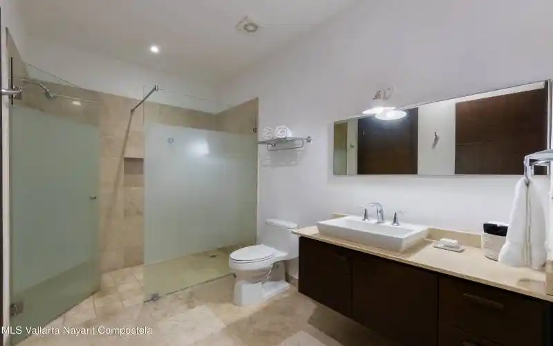 Pajaro de Fuego 301 (12)