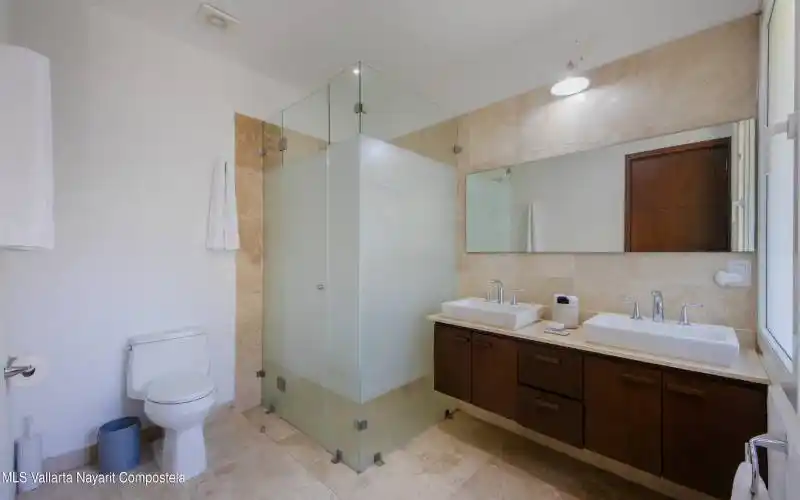 Pajaro de Fuego 301 (10)