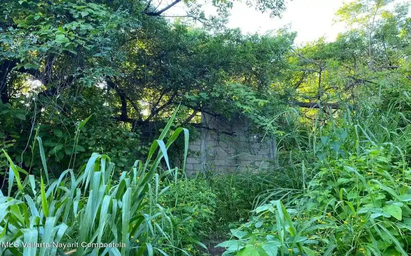 Copy of WhatsApp Image 2023-09-16 at 13.