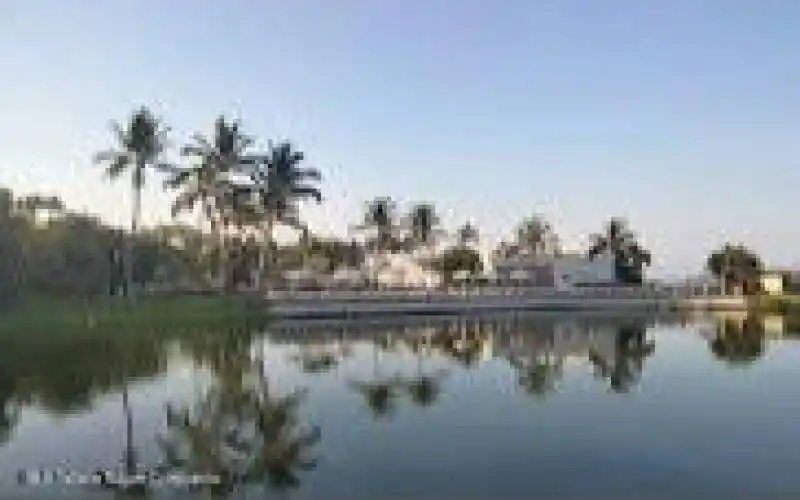 Adobe Express - file (21)