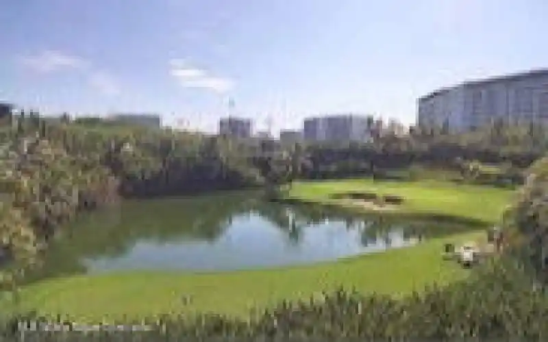 Adobe Express - file (22)