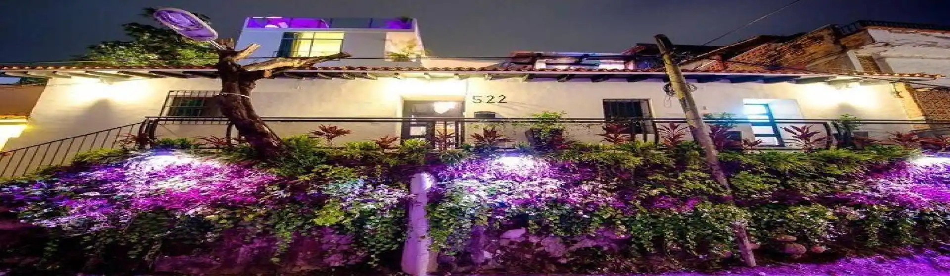 20230202235827407035000000-o