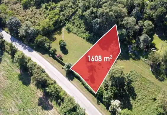 Lot Jengibre Rojo (1)