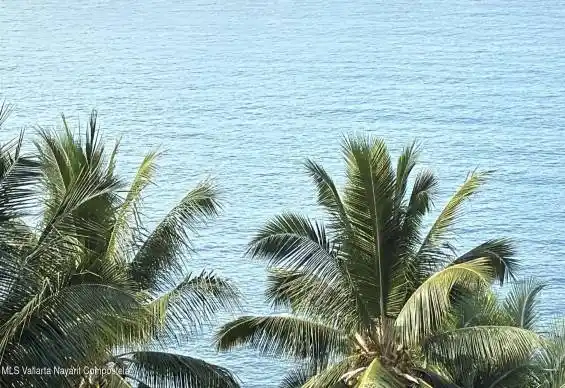 30 LOTE SAN XOAQUIN BROCKMAN BROS OCEAN