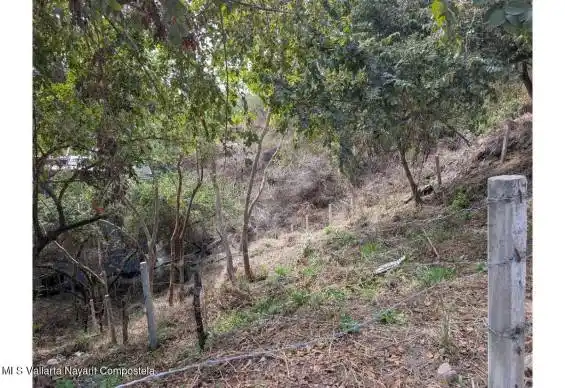 SN LUCIERNAGA, Riviera Nayarit, NAYARIT, 0 , 0 ,0,Land,For Sale,LUCIERNAGA,0,42295