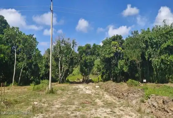 1603 Amado Nervo, Riviera Nayarit, NAYARIT, 0 , 0 ,0,Land,For Sale,Amado Nervo,0,42362