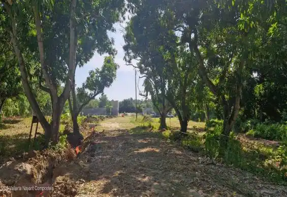 1603 LT25 Amado Nervo, Riviera Nayarit, NAYARIT, 0 , 0 ,0,Land,For Sale,Amado Nervo,0,42364