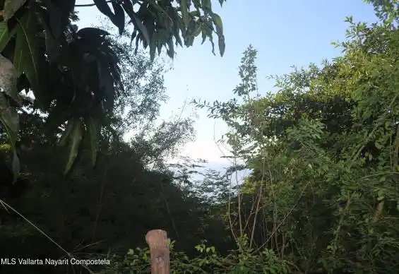 21-Frac 3 Calle Chachalaca, Riviera Nayarit, NAYARIT, 0 , 0 ,0,Land,For Sale,Calle Chachalaca,0,42505